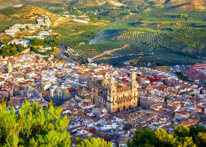 Servicio de grúa rápida en Jaén